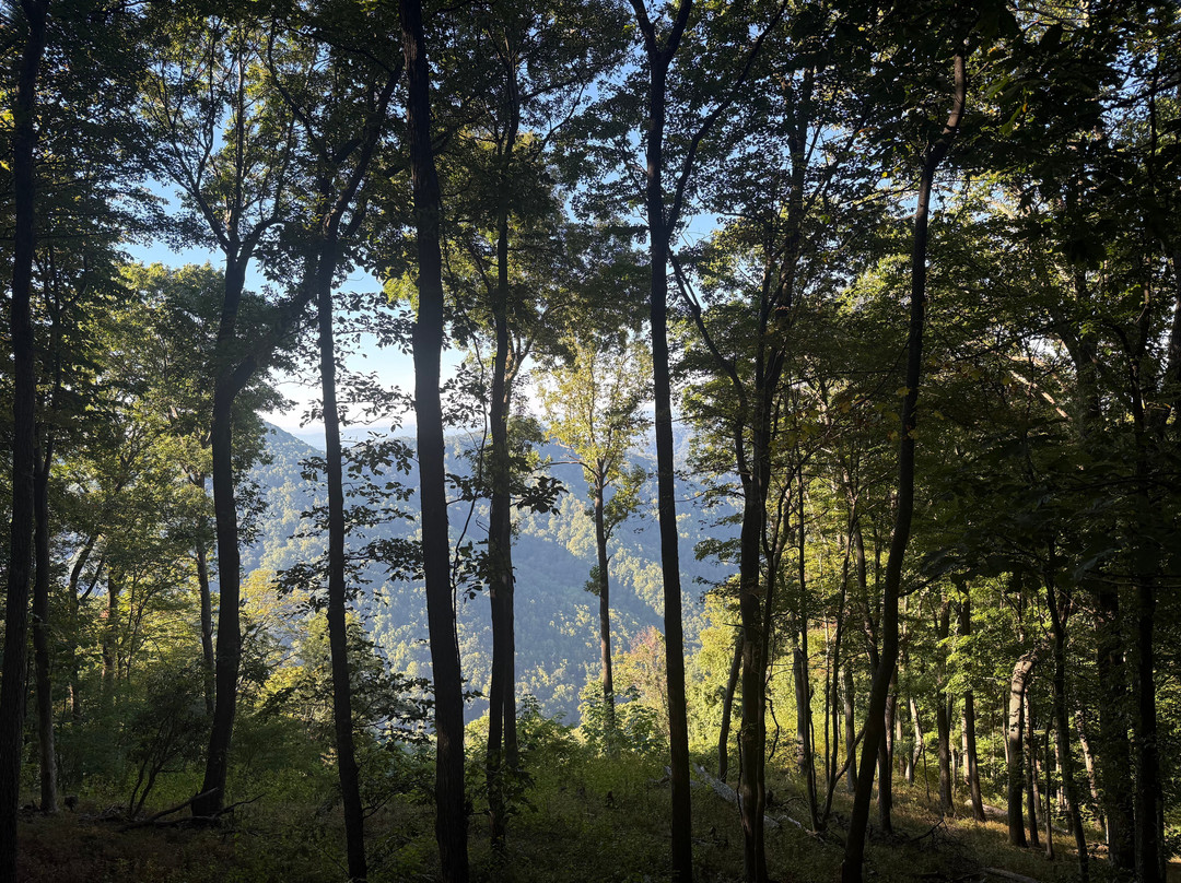 Primland-Meadows of Dan必去景点