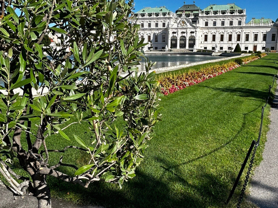 Jardines de Belvedere-维也纳必去景点