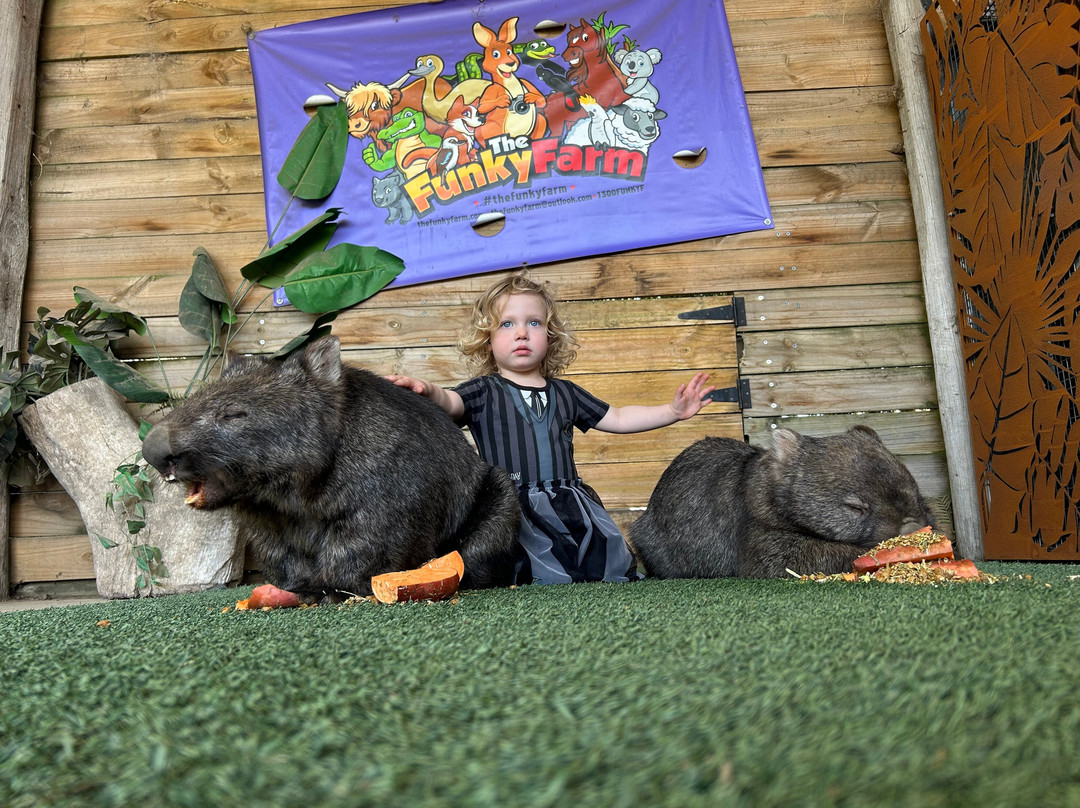 The Funky Farm