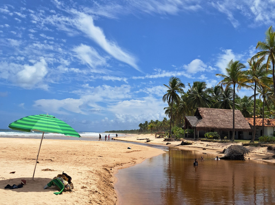 Algodoes Beach-Barra Grande必去景点
