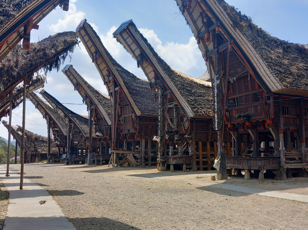 Tana Toraja Tours with Luther-兰特包必去景点