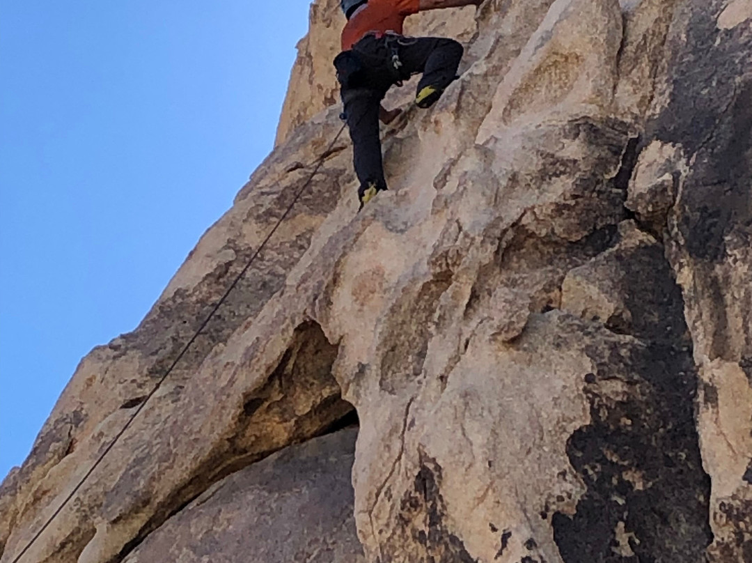 Cliffhanger Guides-约书亚树必去景点