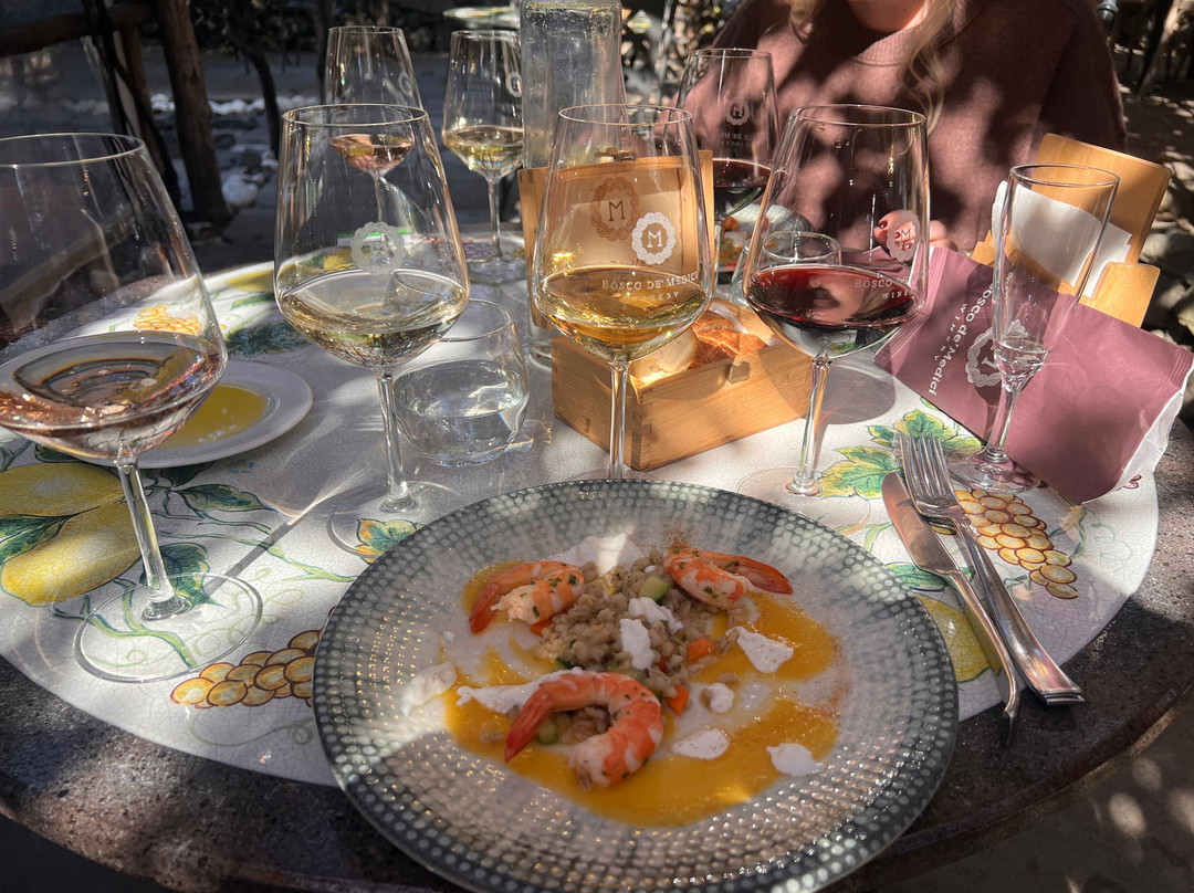 Bosco de Medici Winery-庞贝必去景点
