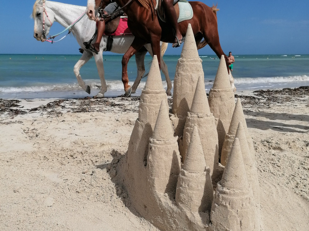 Seabel Rym Beach Djerba主图
