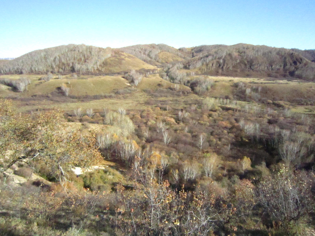 多伦县旅游景点-御道口草原森林风景区