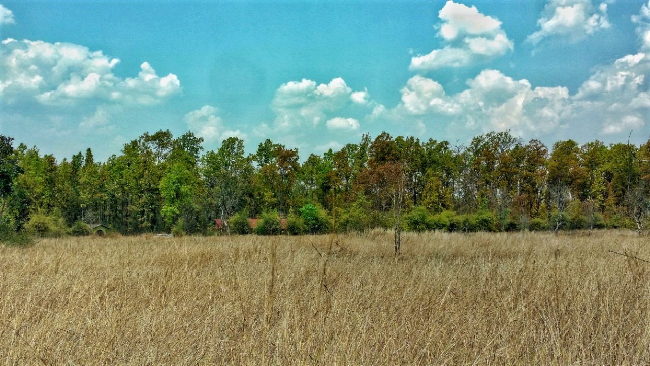 Asteya Kanha-官方