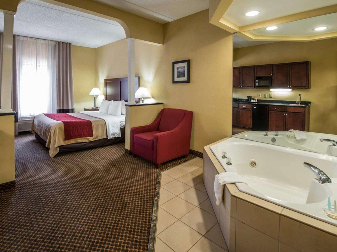 Comfort Inn & Suites主图