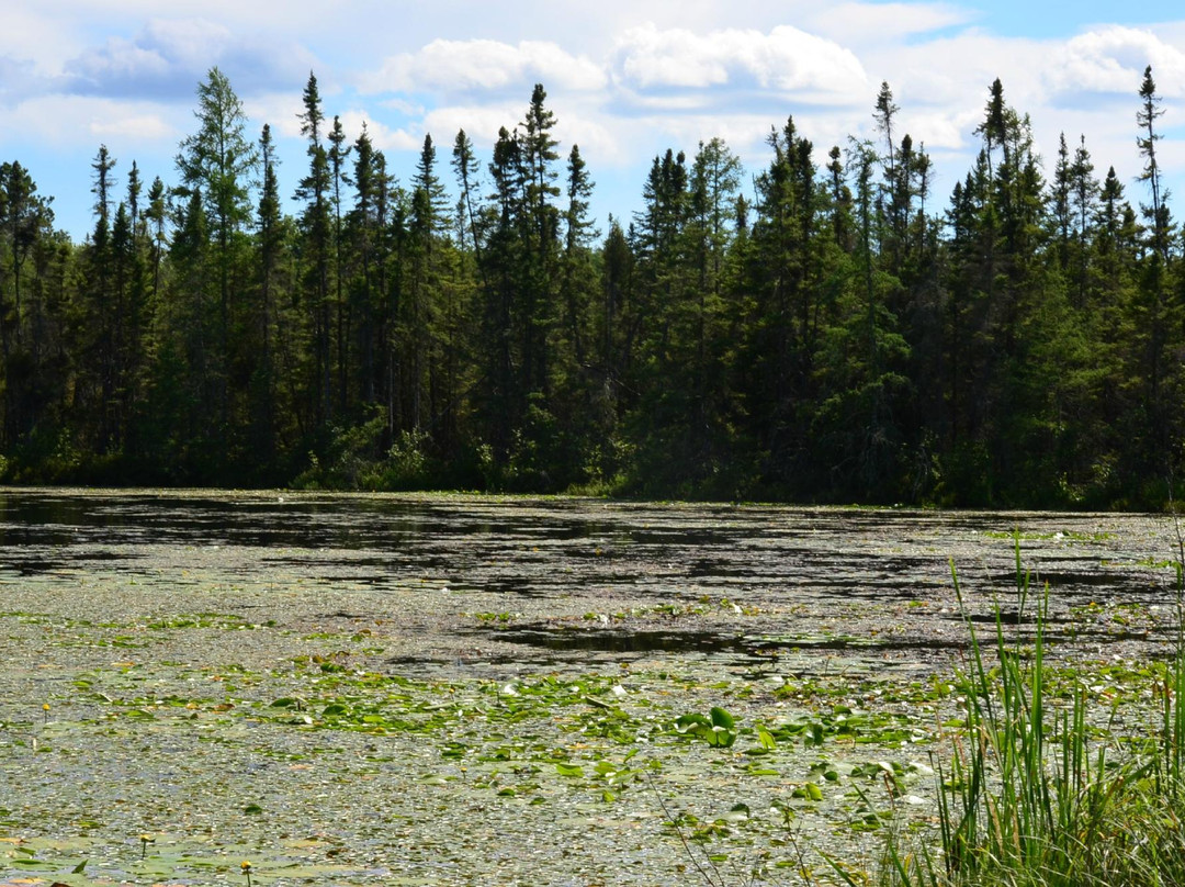 Rice Lake National Refuge景点图片