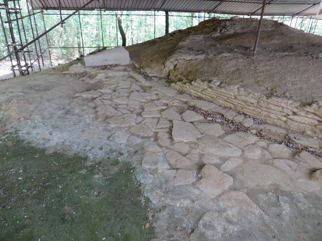 Etruscan necropolis of Prato Rosello景点图片