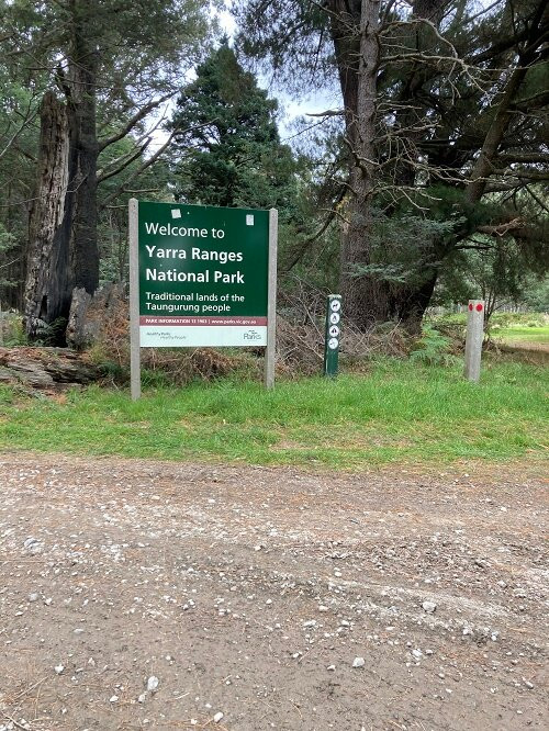 Yarra Ranges National Park景点图片