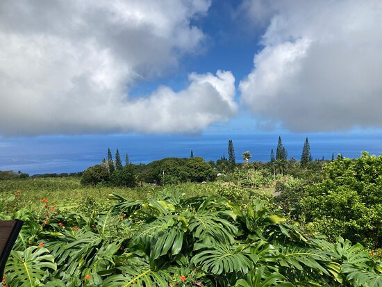 夏威夷仙境农场景点图片