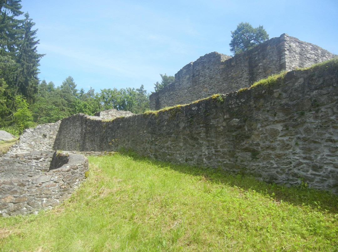Ruins of the Kozi Hradek Castle景点图片