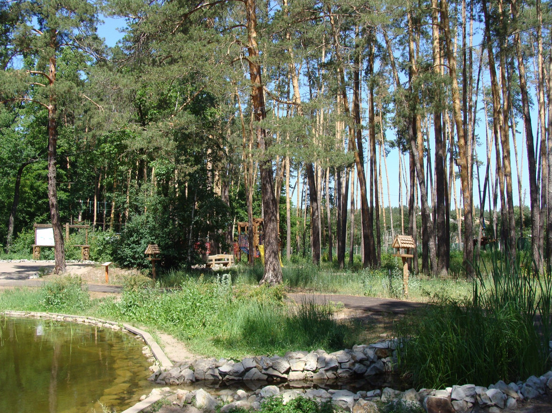 Voronezh State Nature Biosphere Sanctuary V.M. Peskova景点图片
