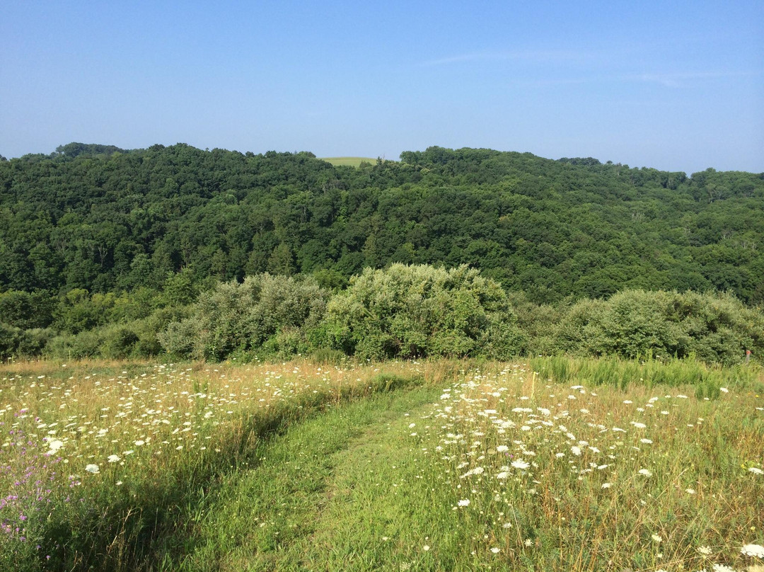 Germansville旅游景点-Trexler Nature Preserve