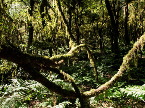 Parque Nacional Baritú-萨尔塔必去景点