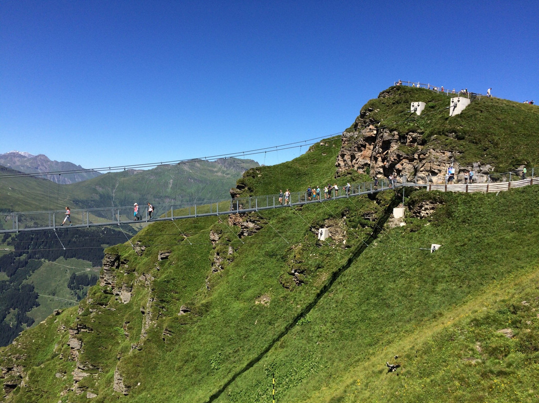 泉卡斯汀旅游景点-Stubnerkogel Suspension Bridge