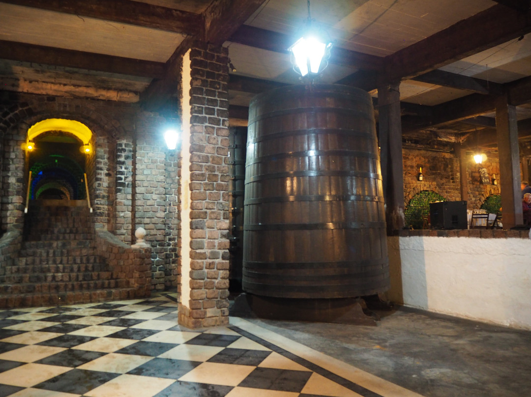 La Paz旅游景点-Bodega Santa Rosa