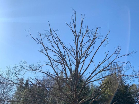 Lookout Rock-Northbridge必去景点