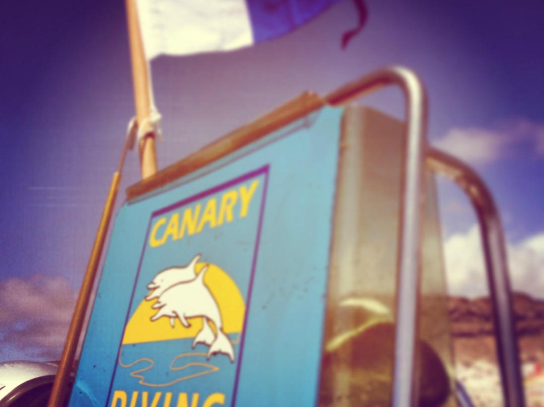 Canary Diving Adventures-莫干山必去景点