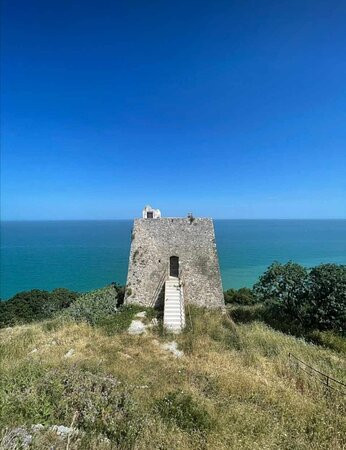 Torre di Monte Pucci-佩斯基奇必去景点
