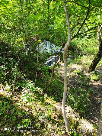 Bosco Delle Meraviglie景点图片