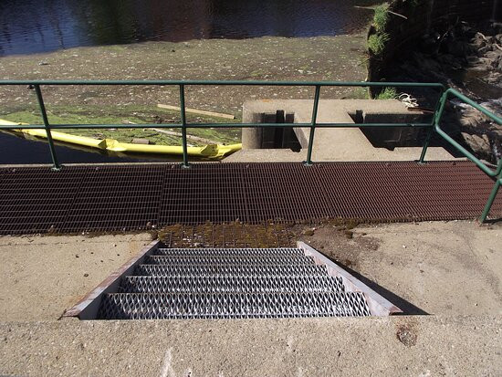 Fish Ladder Park景点图片