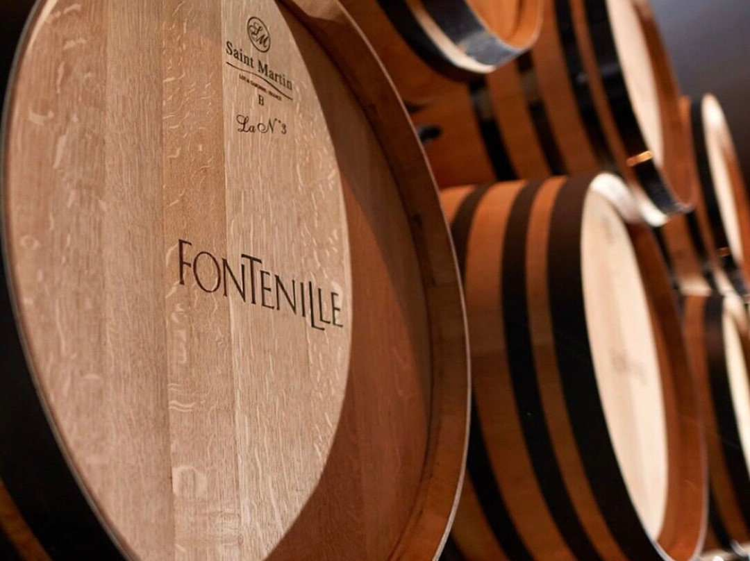 Lauris酒店住宿-Domaine De Fontenille
