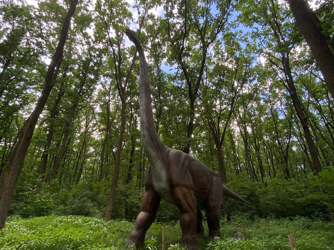 DinoPark Beregovo-Yanoshi必去景点