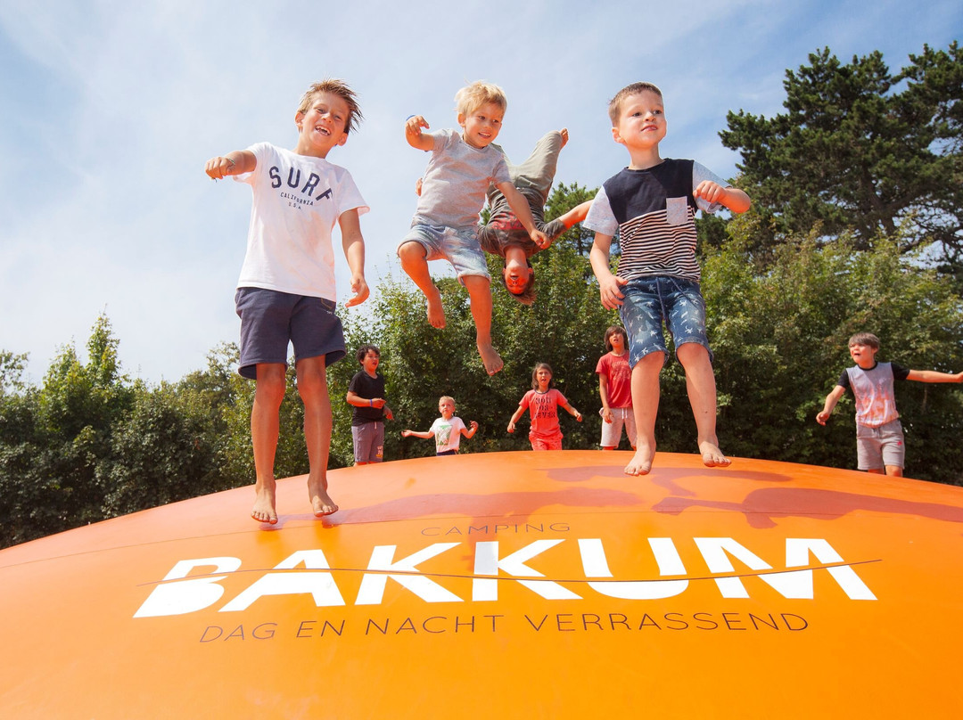 Camping Bakkum
