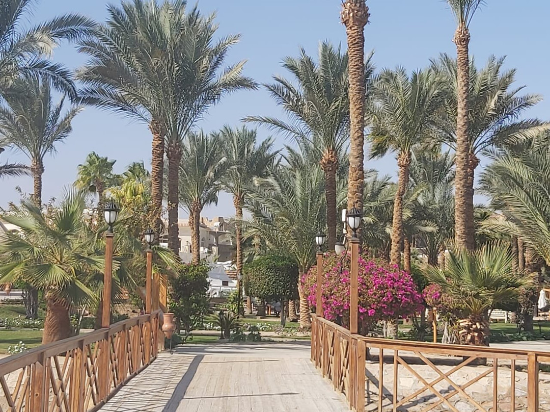 Marsa Alam Egypt-马萨阿拉姆必去景点