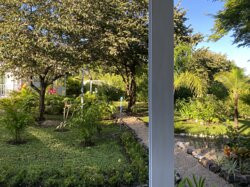 Les Voiles Blanches主图