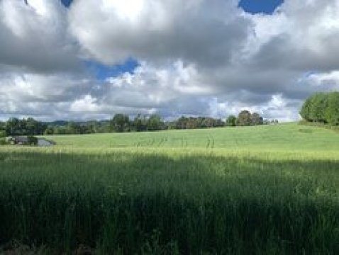 Centro Turistico Fundo San Pablo-浴室