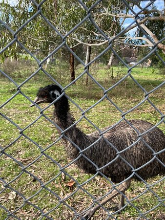 Graham Husson Fauna Park-波特兰必去景点