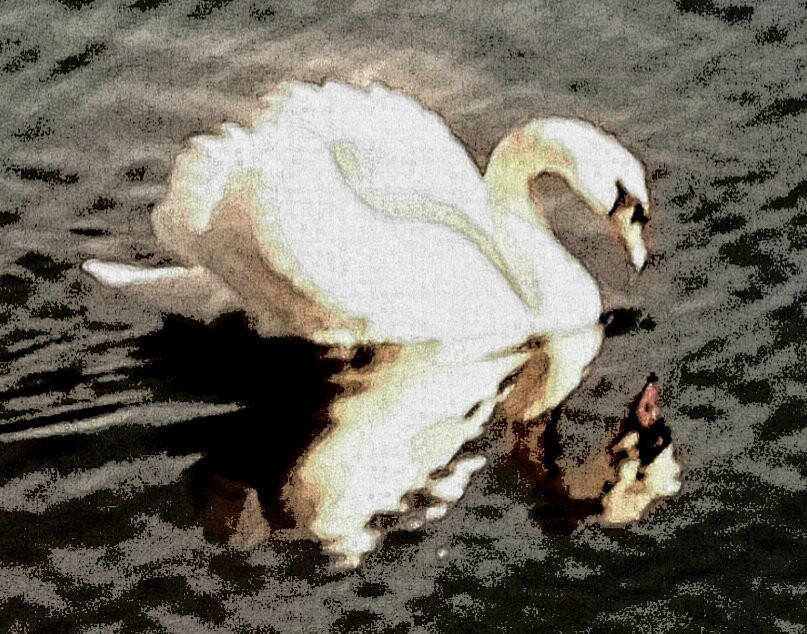 Wertheim National Wildlife Refuge-Shirley必去景点