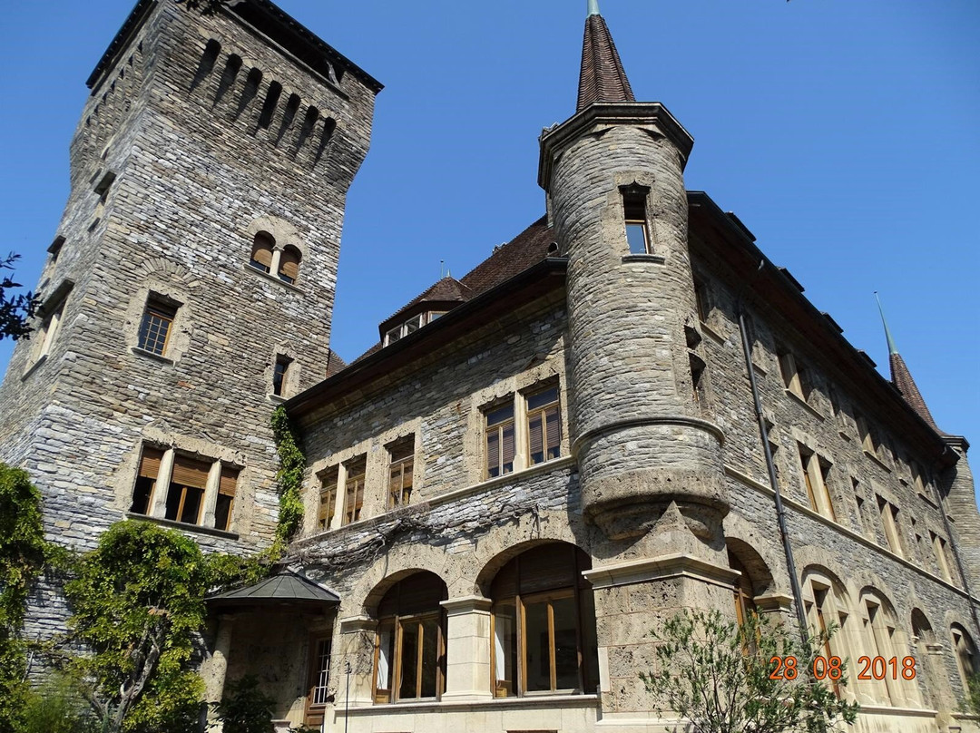 Chateau Mercier景点图片
