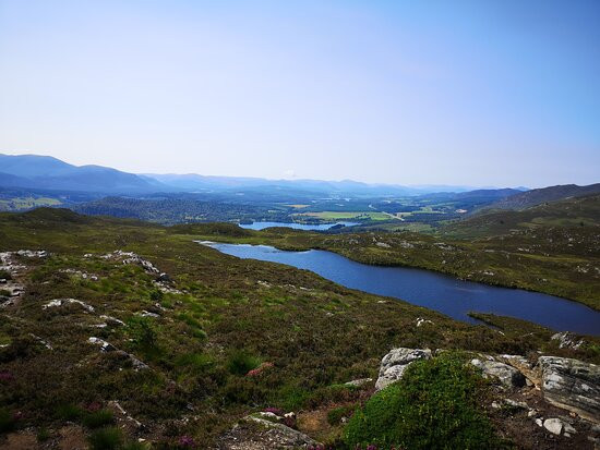 Craigellachie National Nature Reserve景点图片