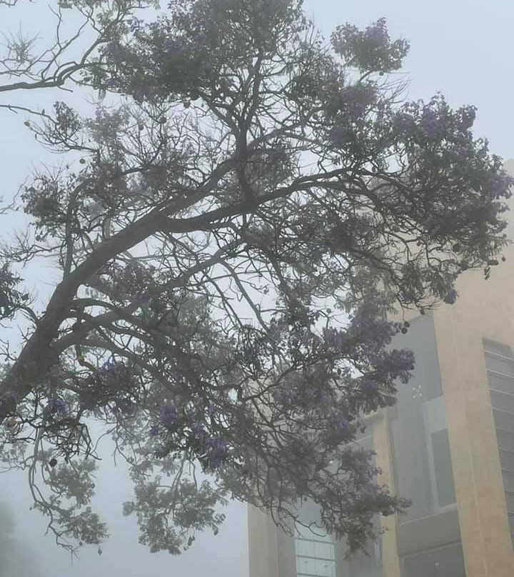 High City-Abha必去景点