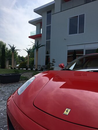 Notte Stellata主图