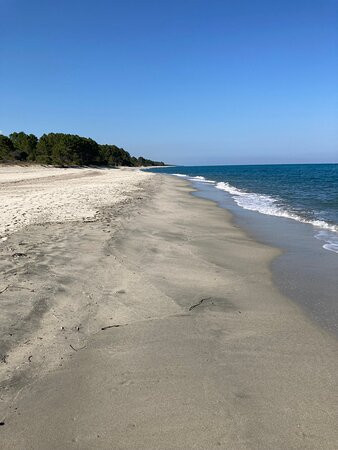 Plage de Pinia景点图片