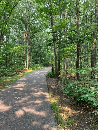 Robert J. Henke Nature Preserve Passive Park景点图片