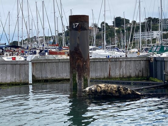 South West Rib Rides-布里克瑟姆必去景点