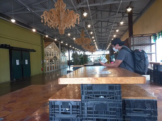 World Flower Botanical Garden-牙山市必去景点