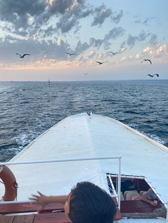 Kika Excursion Brijuni Pula-普拉必去景点