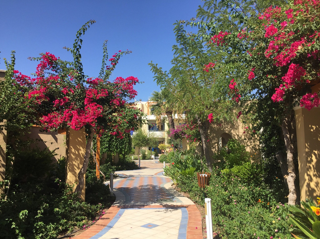 Atrium Palace Thalasso Spa Resort & Villas主图