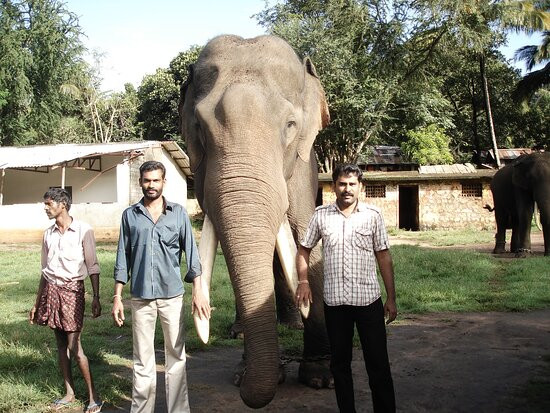 Anamalai Wild Life Sanctuary-Pollachi Town必去景点