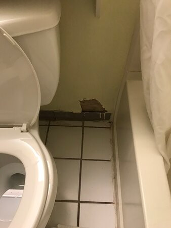 Super 8 by Wyndham Carlisle North主图