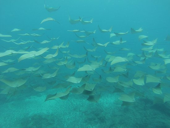 Ballena Aventura景点图片