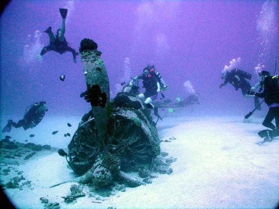 Waikiki Dive Center-火奴鲁鲁必去景点