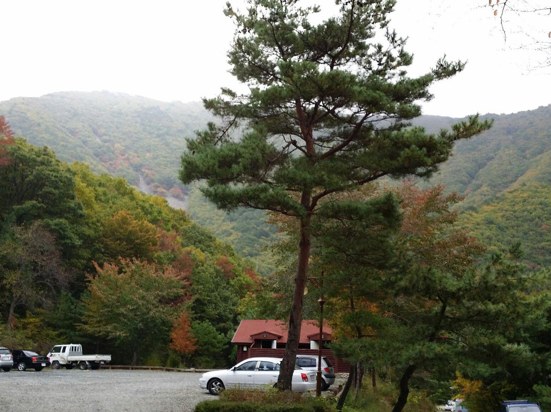 清道郡旅游景点-Unmunsan Recreational Forest