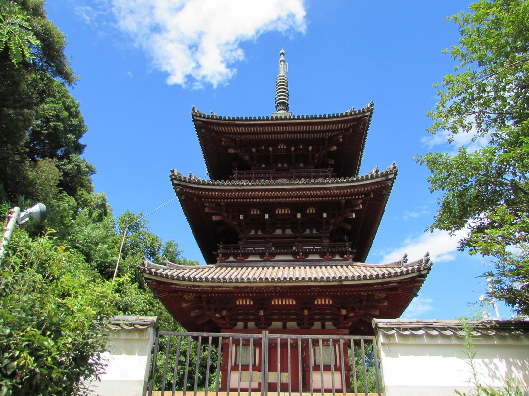 Saikokuji Temple景点图片
